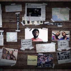 Cover of Illegal