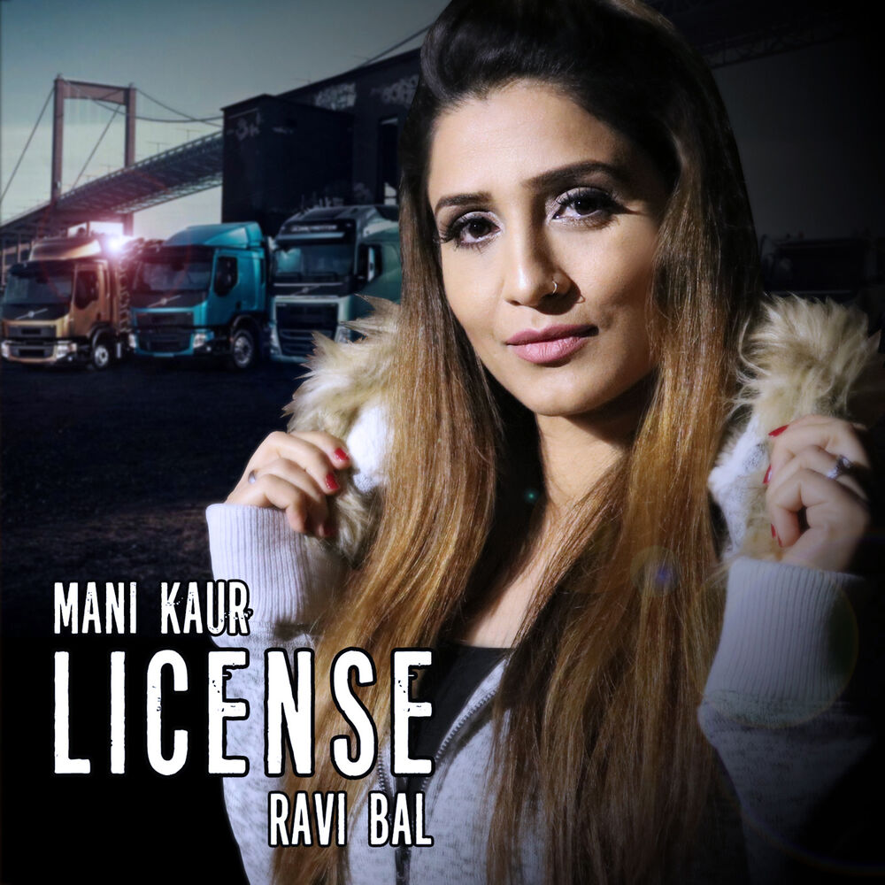 Picture of License
