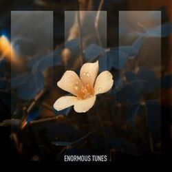 music cover