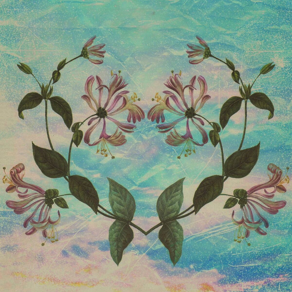 Album cover of Honeysuckle