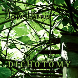 Cover of DICHOTOMY
