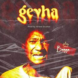 Cover of Gevha