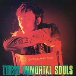 Cover of I'm Never Gonna Die Again (2024 Remaster)