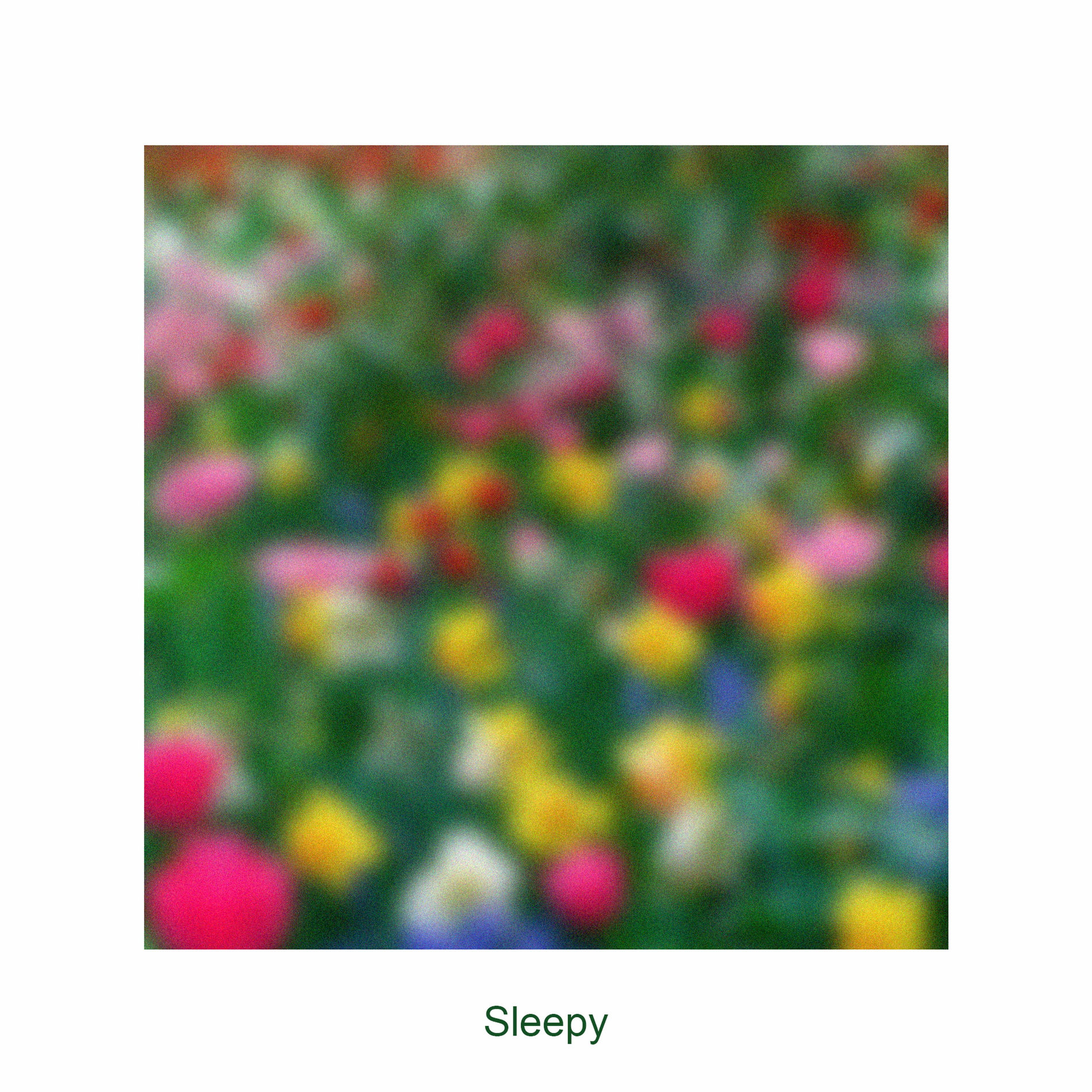 Album cover of Sleepy