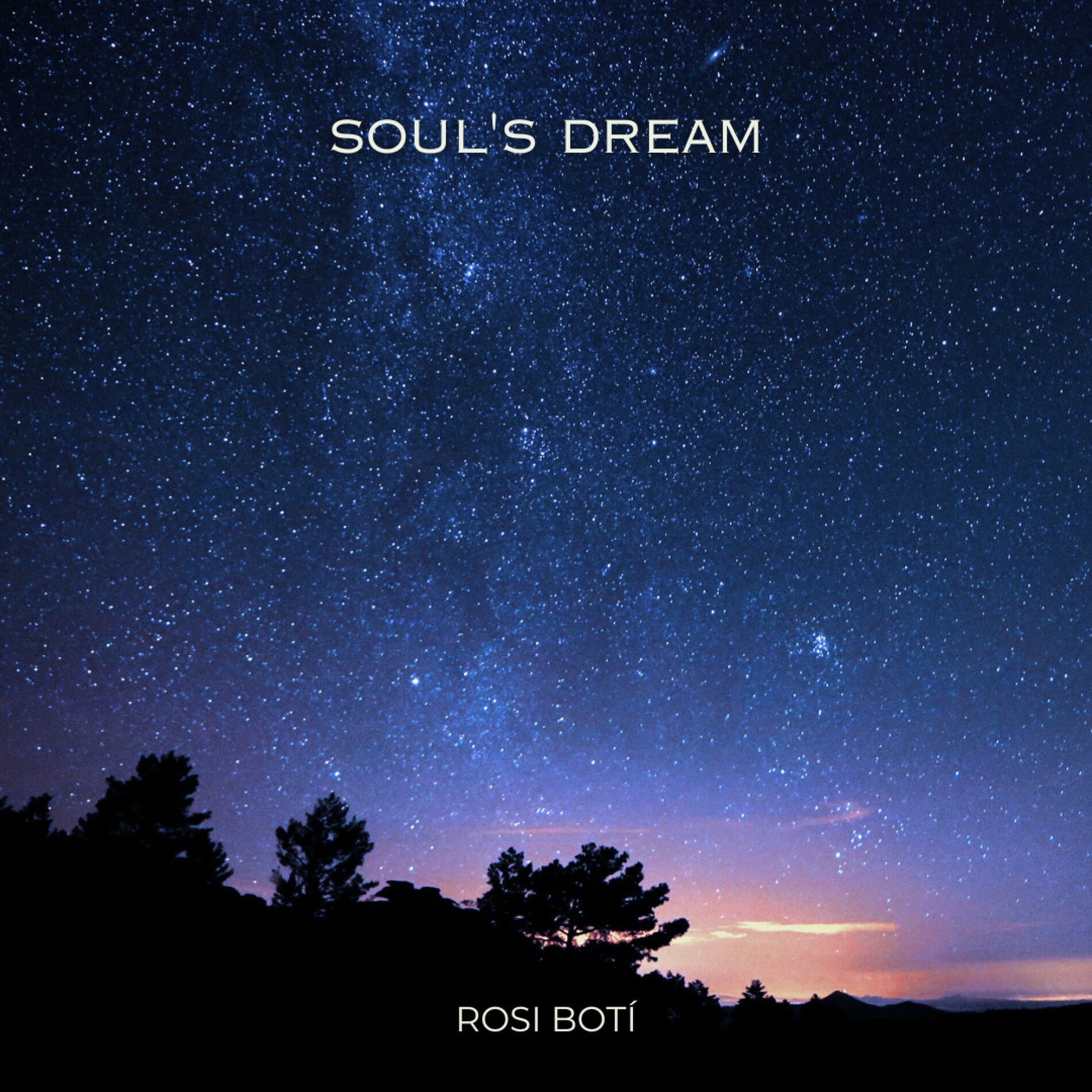 Album cover of Soul's Dream