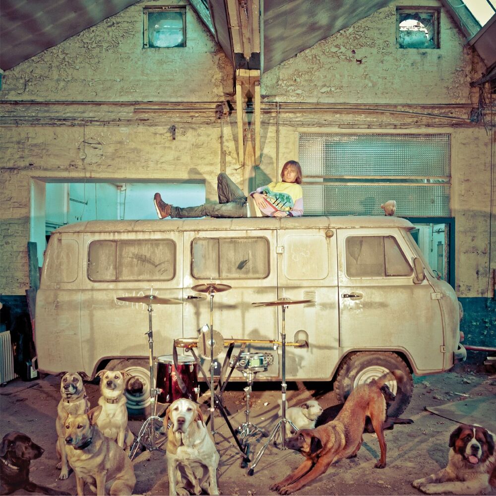 Picture of Chien d'la casse