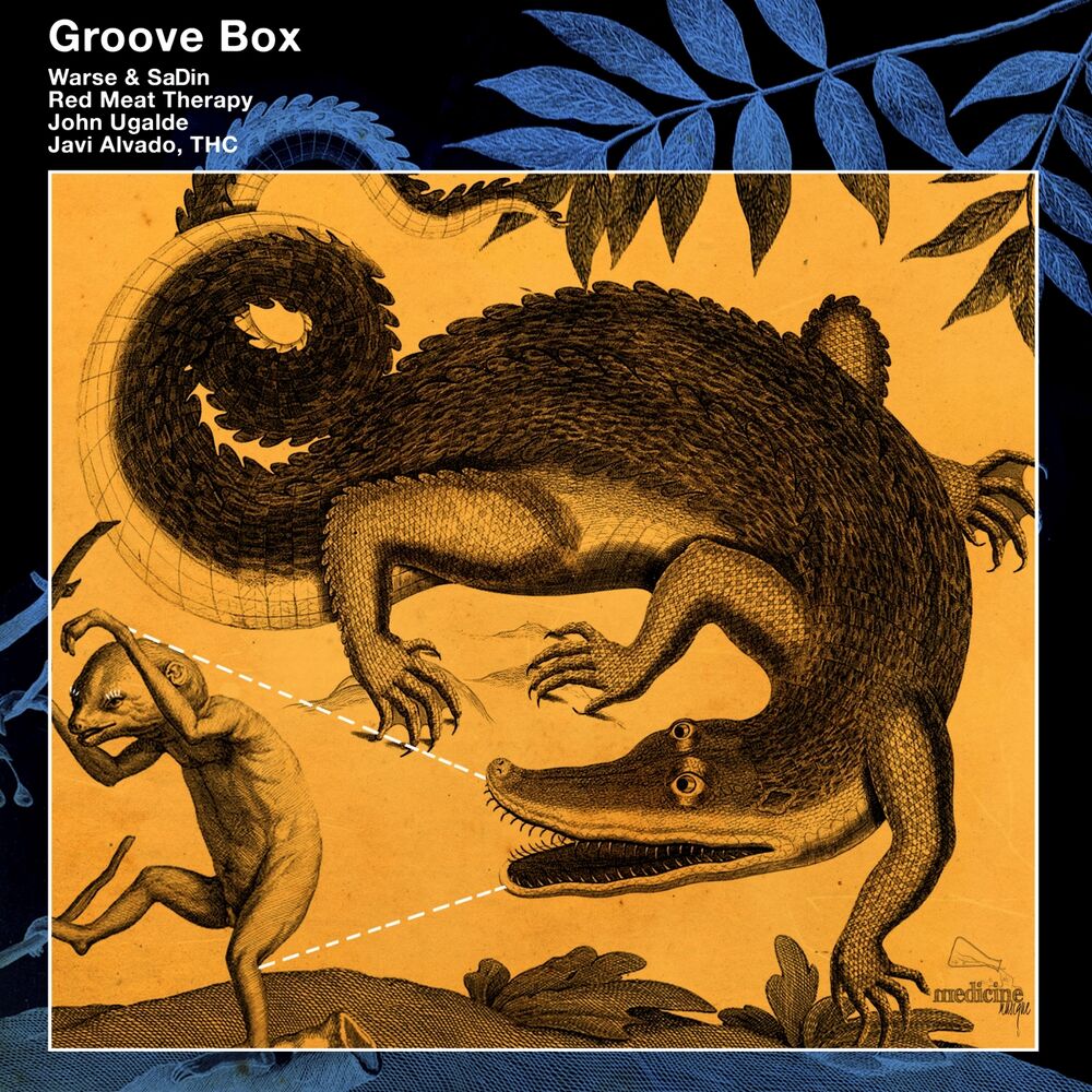 Picture of Groove Box
