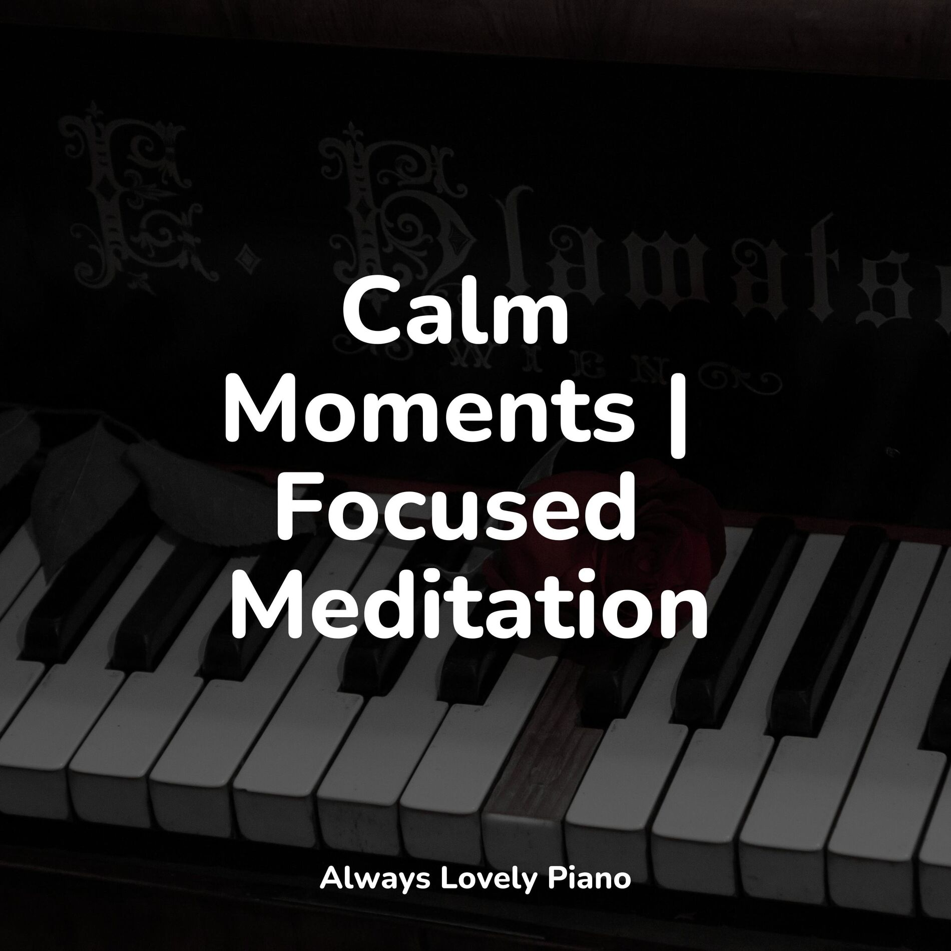 Album cover of Calm Moments | Focused Meditation