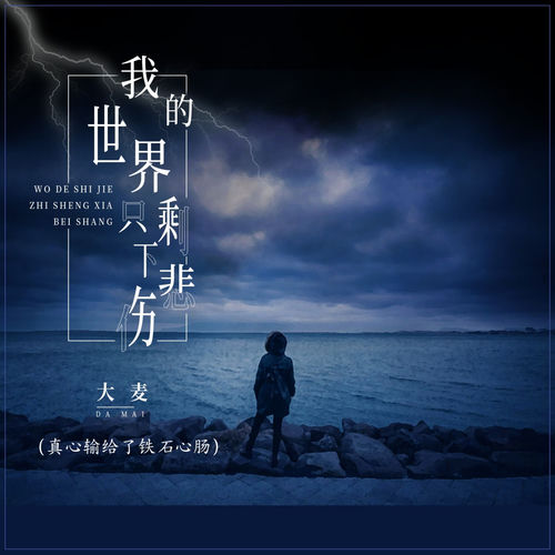 我的世界只剩下悲伤 (真心输给了铁石心肠)
