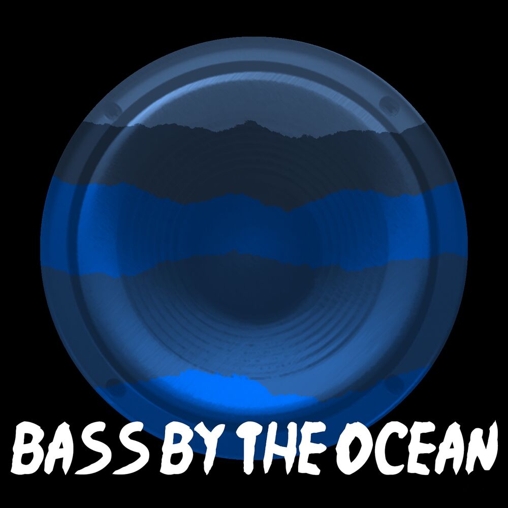 Picture of Bass by the Ocean