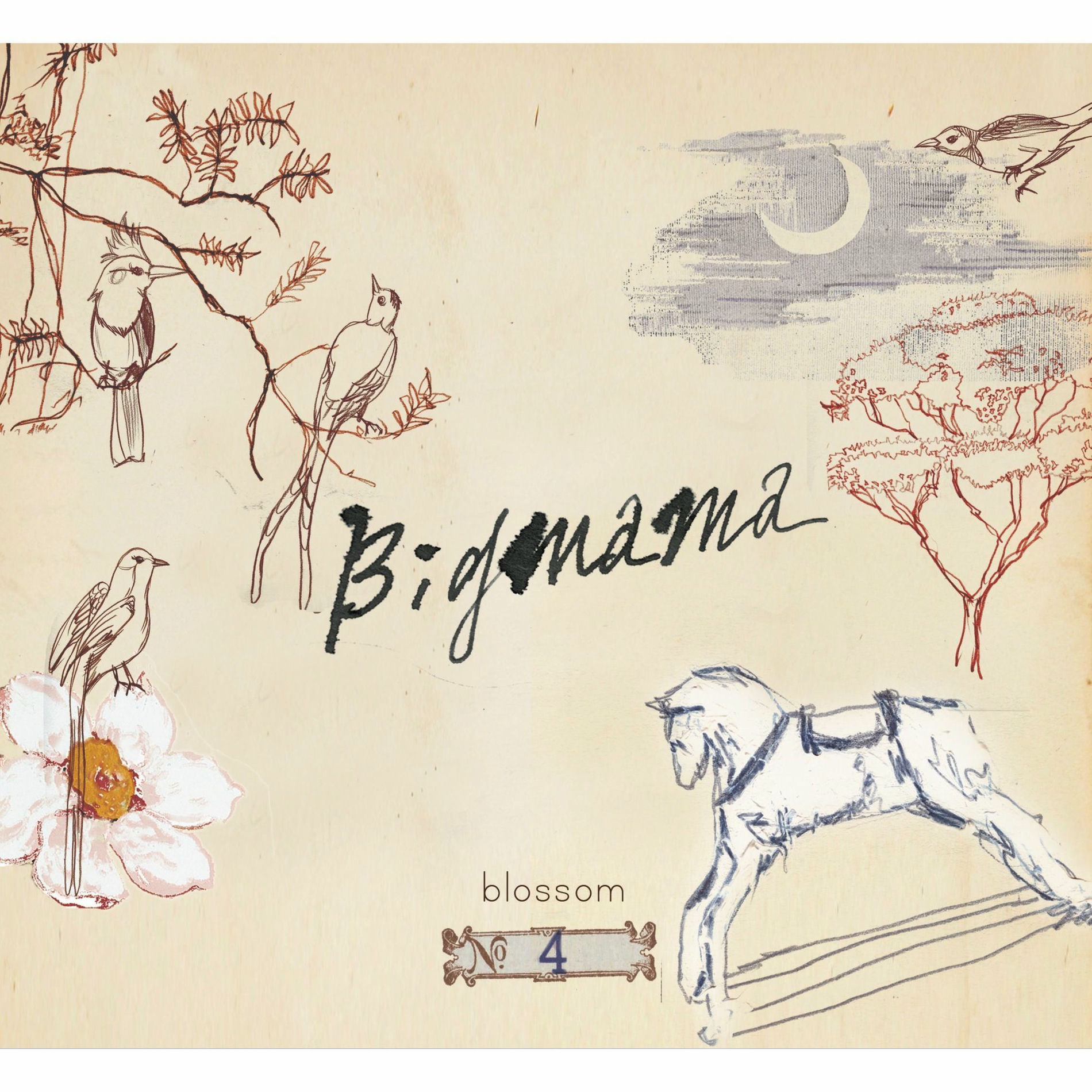 Album cover of Blossom