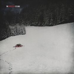 Cover of The Depression Sessions