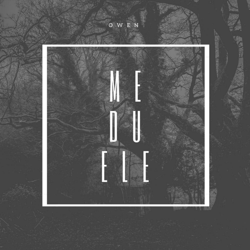 Picture of Me duele (Freestyle)