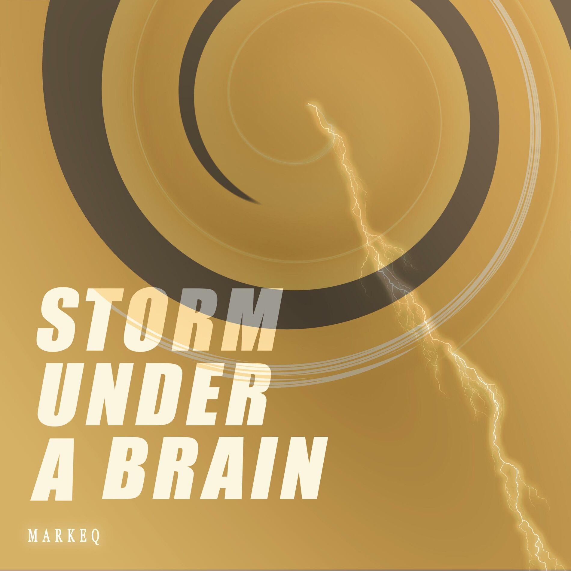 Album cover of Storm under a brain