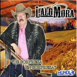 Cover of De Sorpresa en Sorpresa