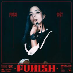 Cover of PUNISH