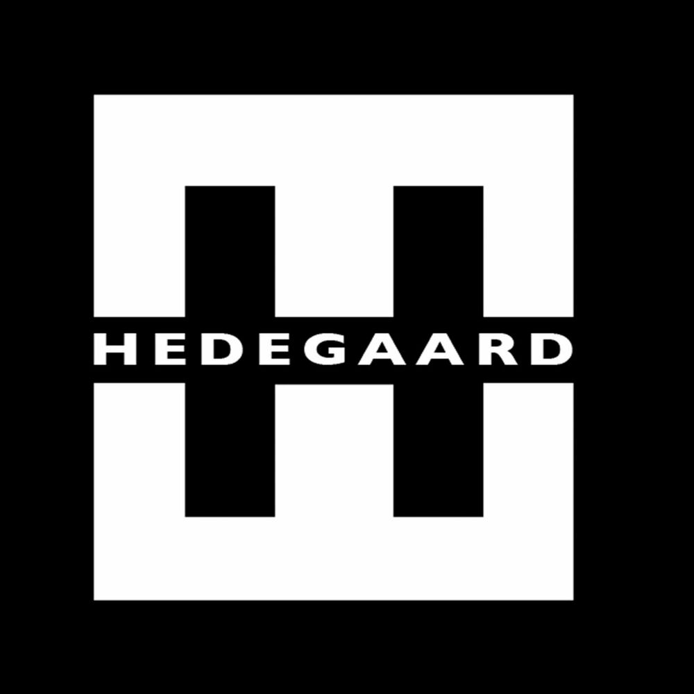 Picture of Slem Igen (feat. Ceci Luca) (Hedegaard Remix)