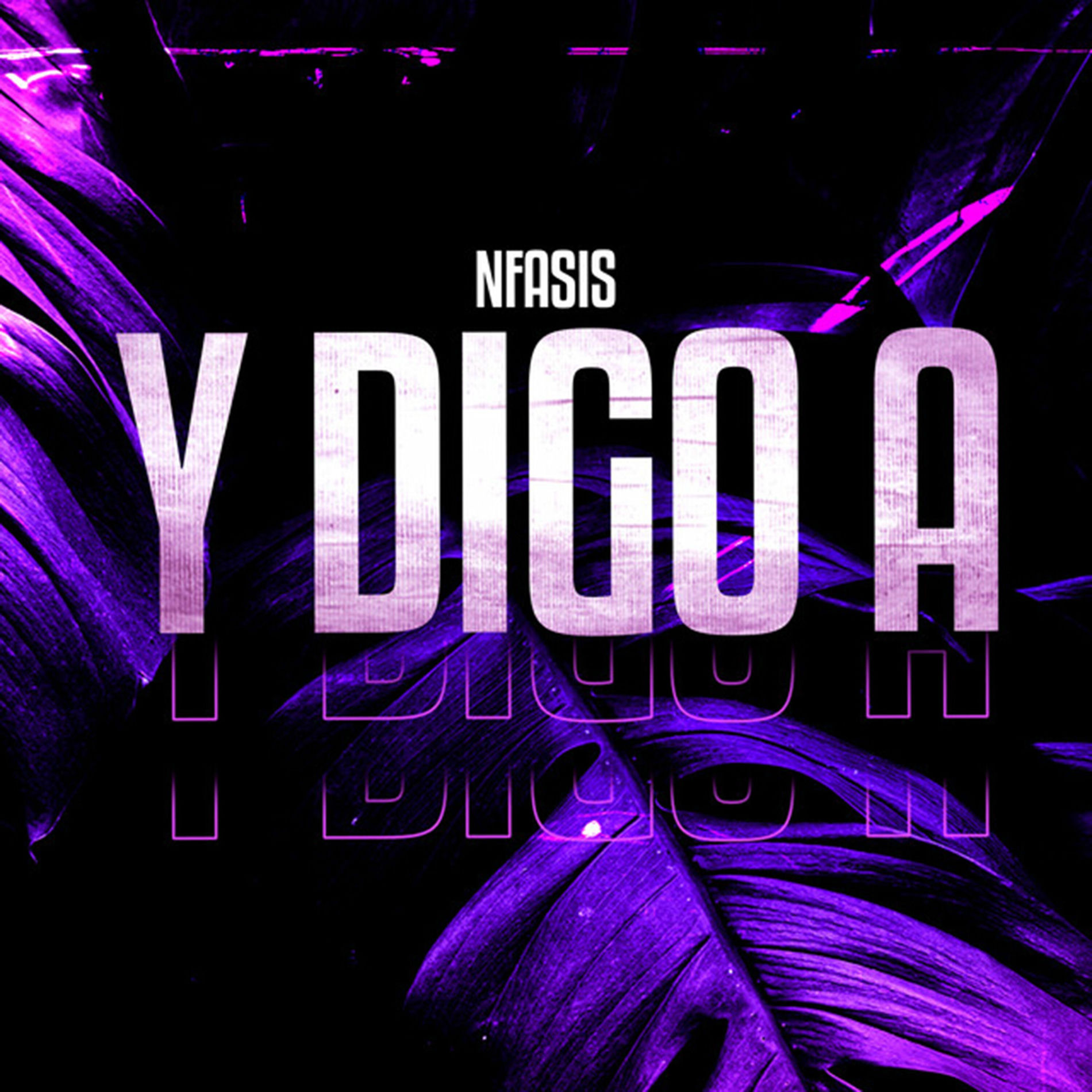 Album cover of Y Digo A