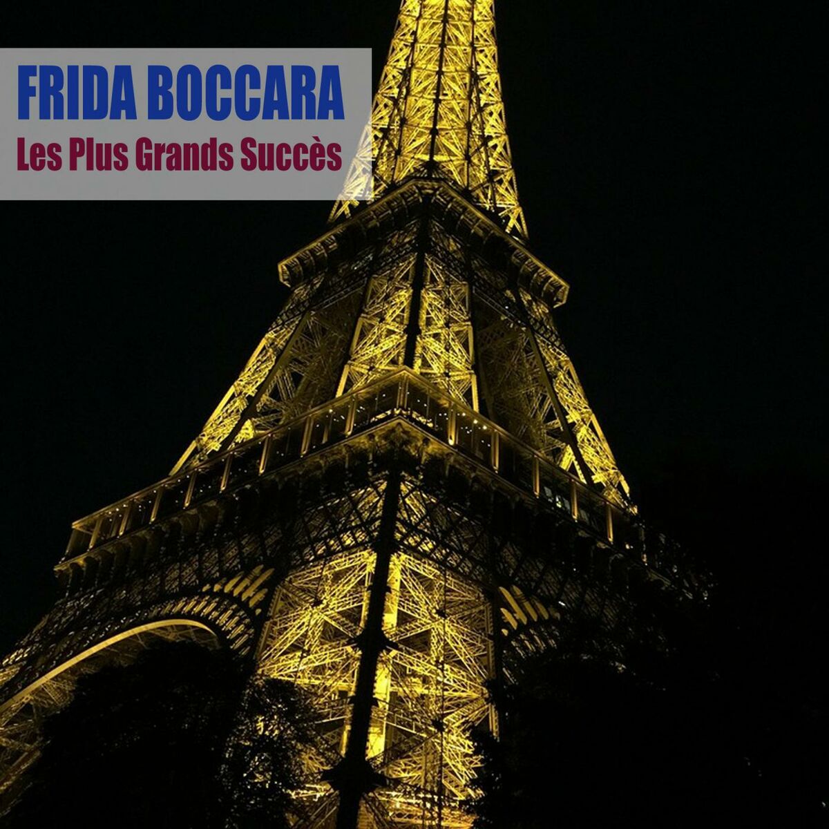 Album cover of Les Plus Grands Succès (Remasterisé)