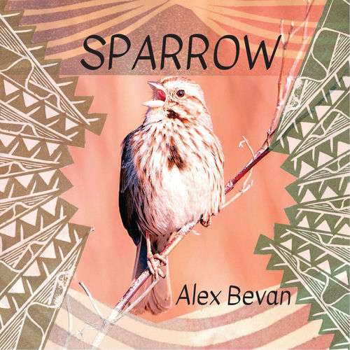 Sparrow sleeve