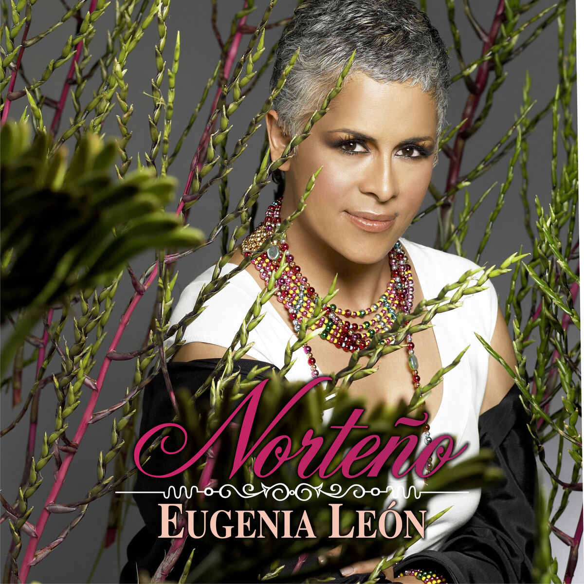 Album cover of Norteño