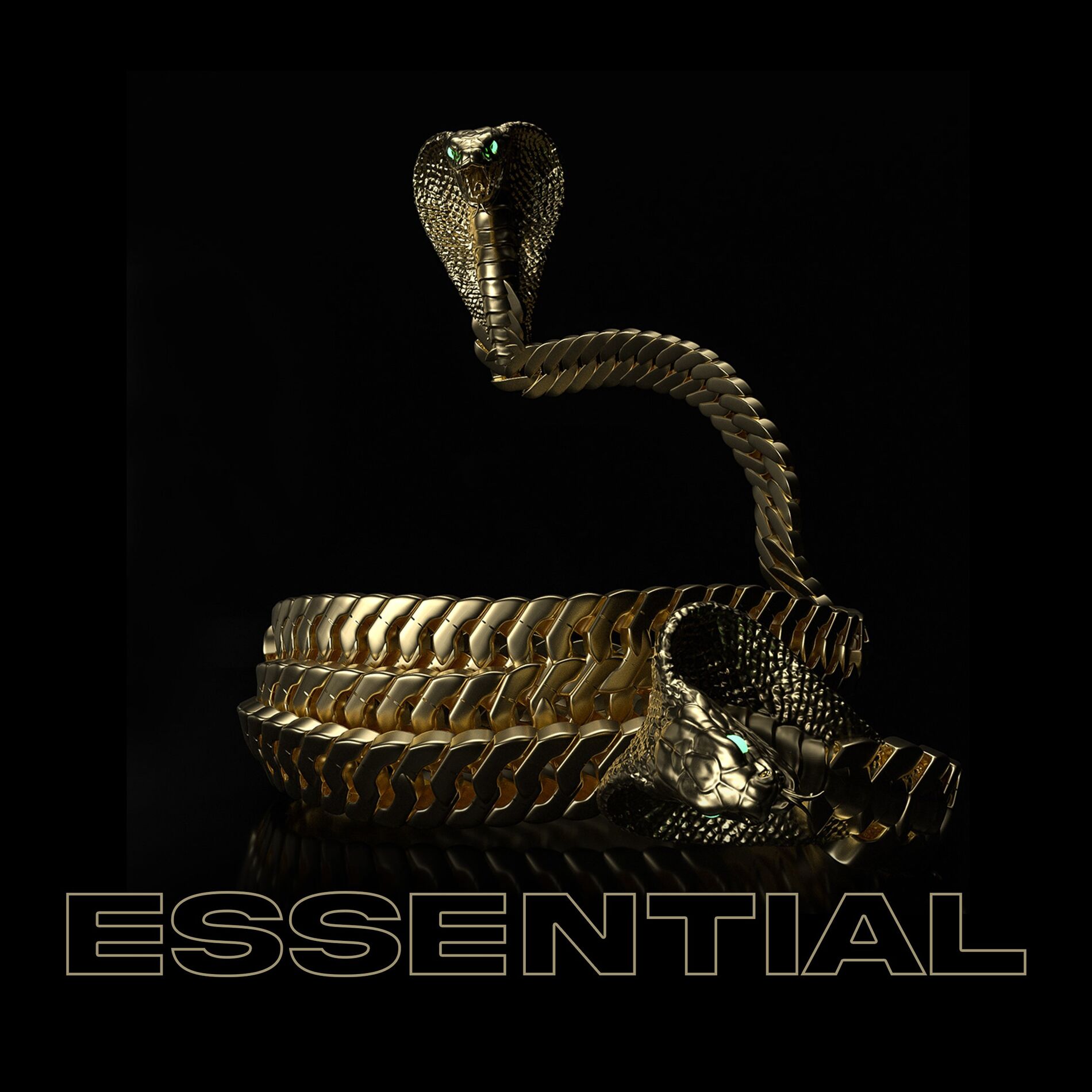Album cover of Essential