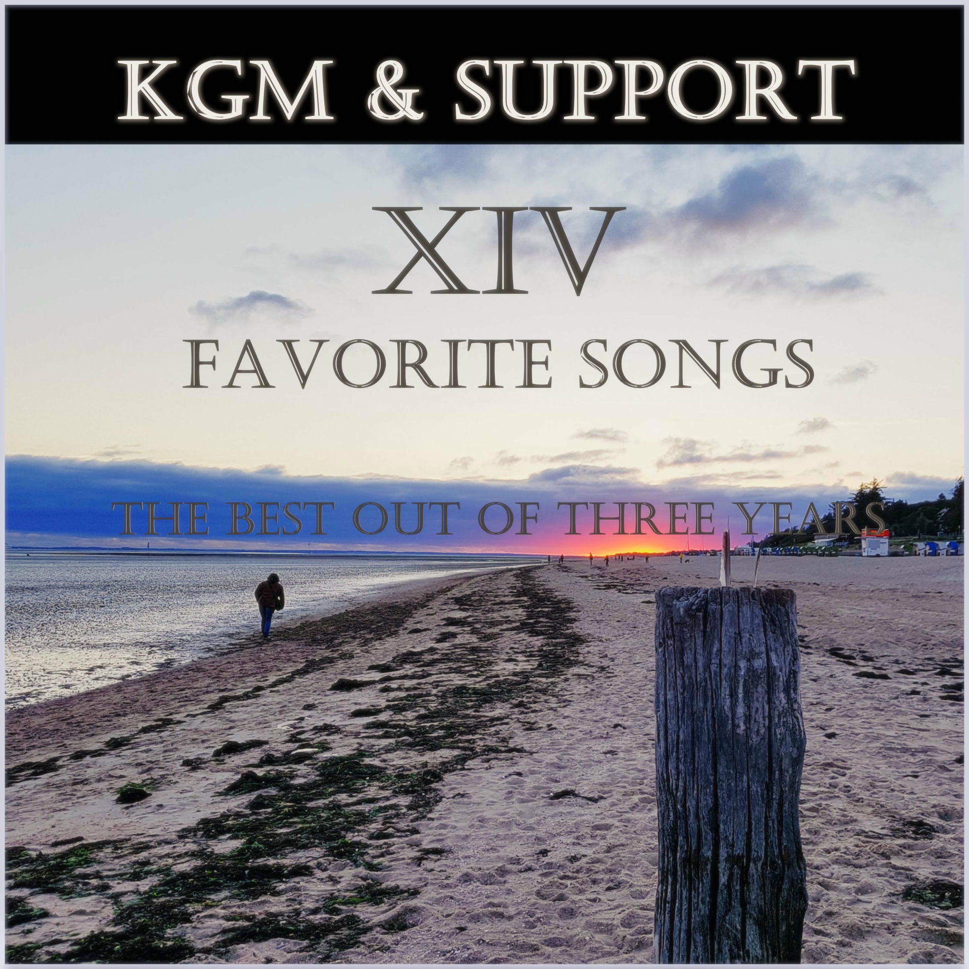 Album cover of Fourteen