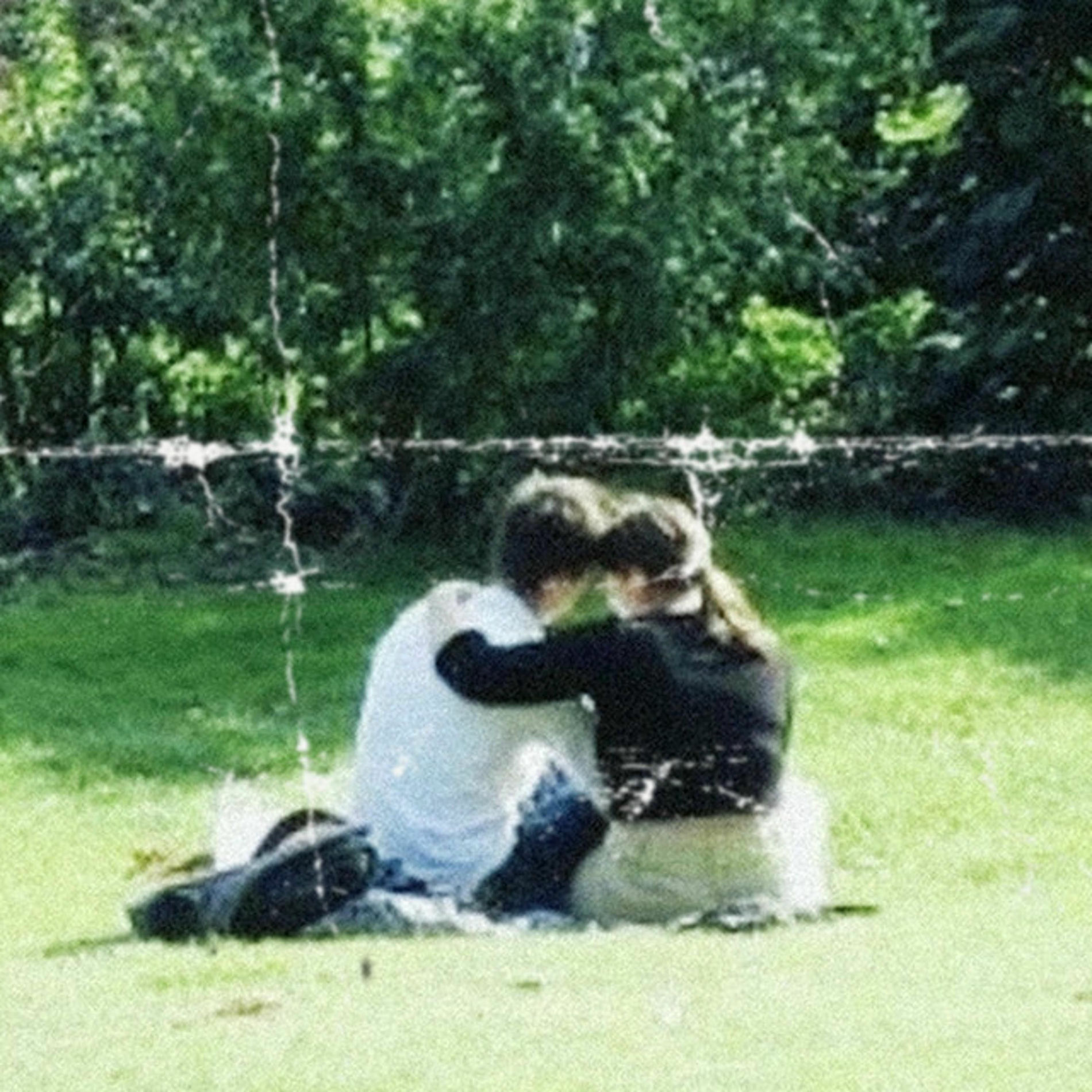 Album cover of We're Fleeting