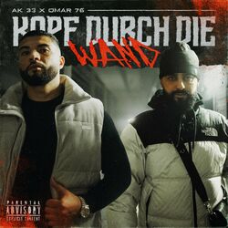 Cover of Kopf durch die Wand