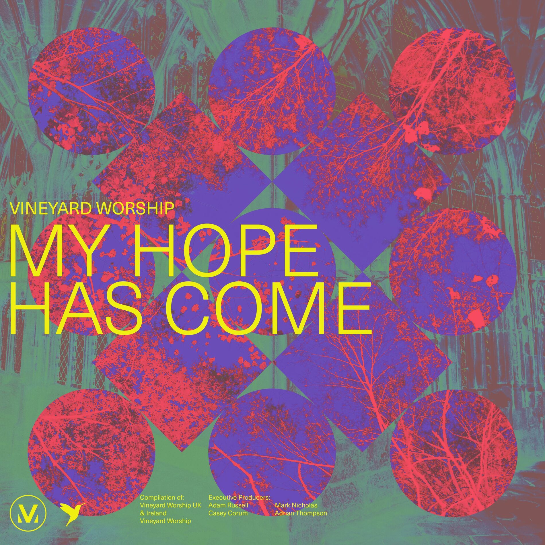 Album cover of My Hope Has Come