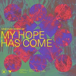 Cover of My Hope Has Come