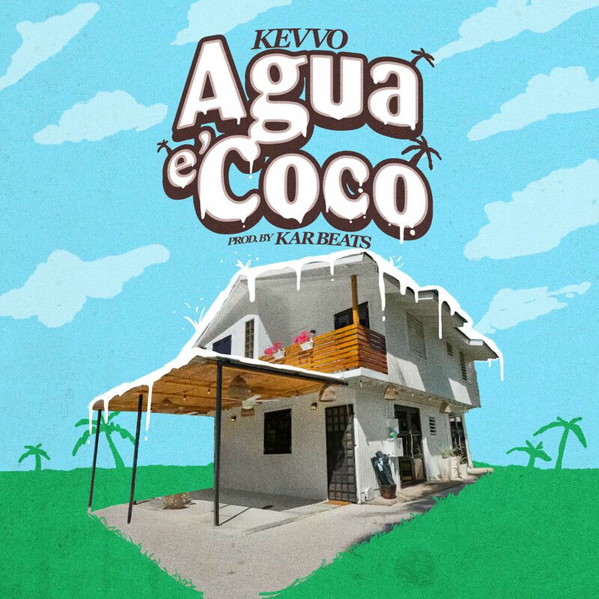 Album cover of Agua e' Coco