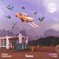 Cover of Last Summer