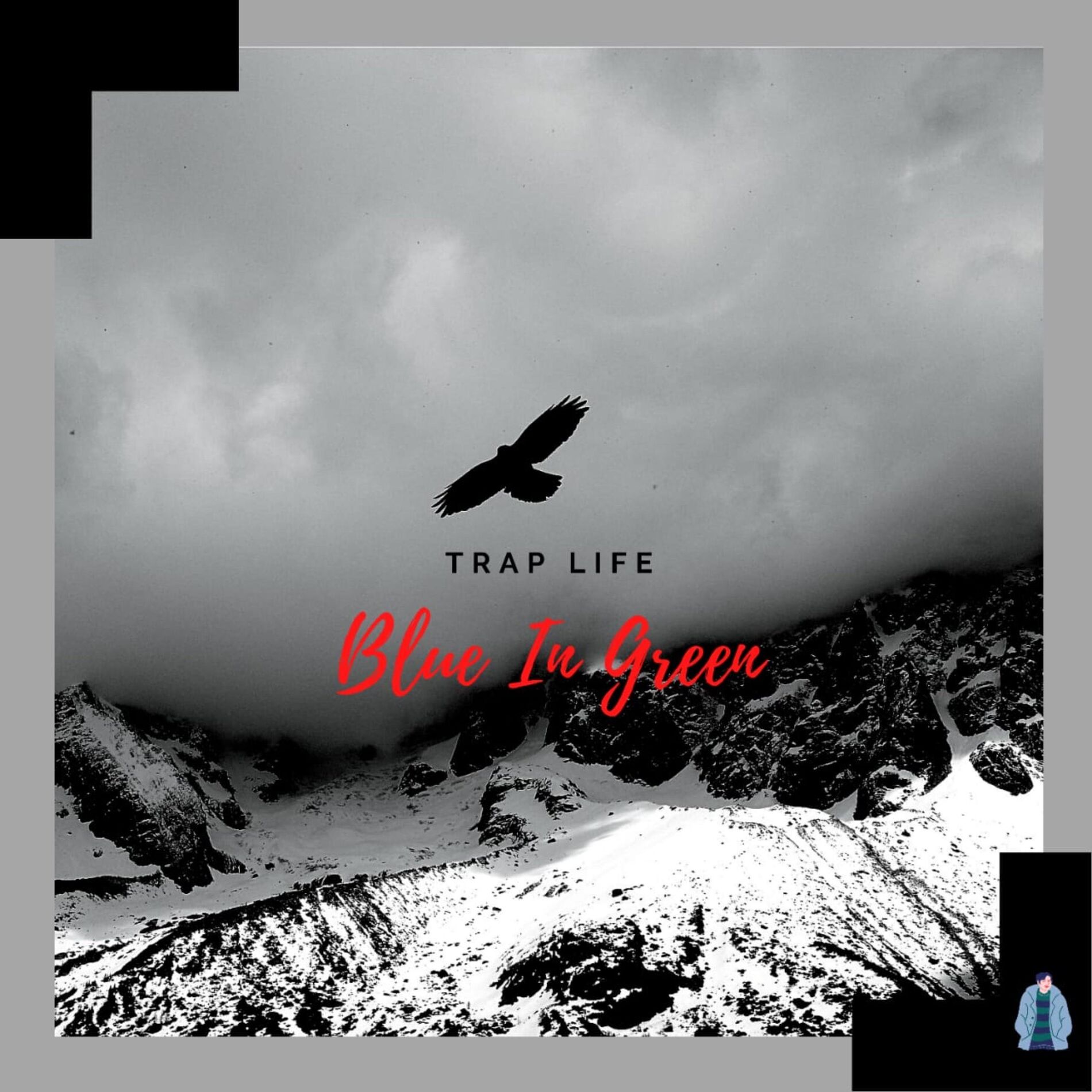Album cover of Trap Life