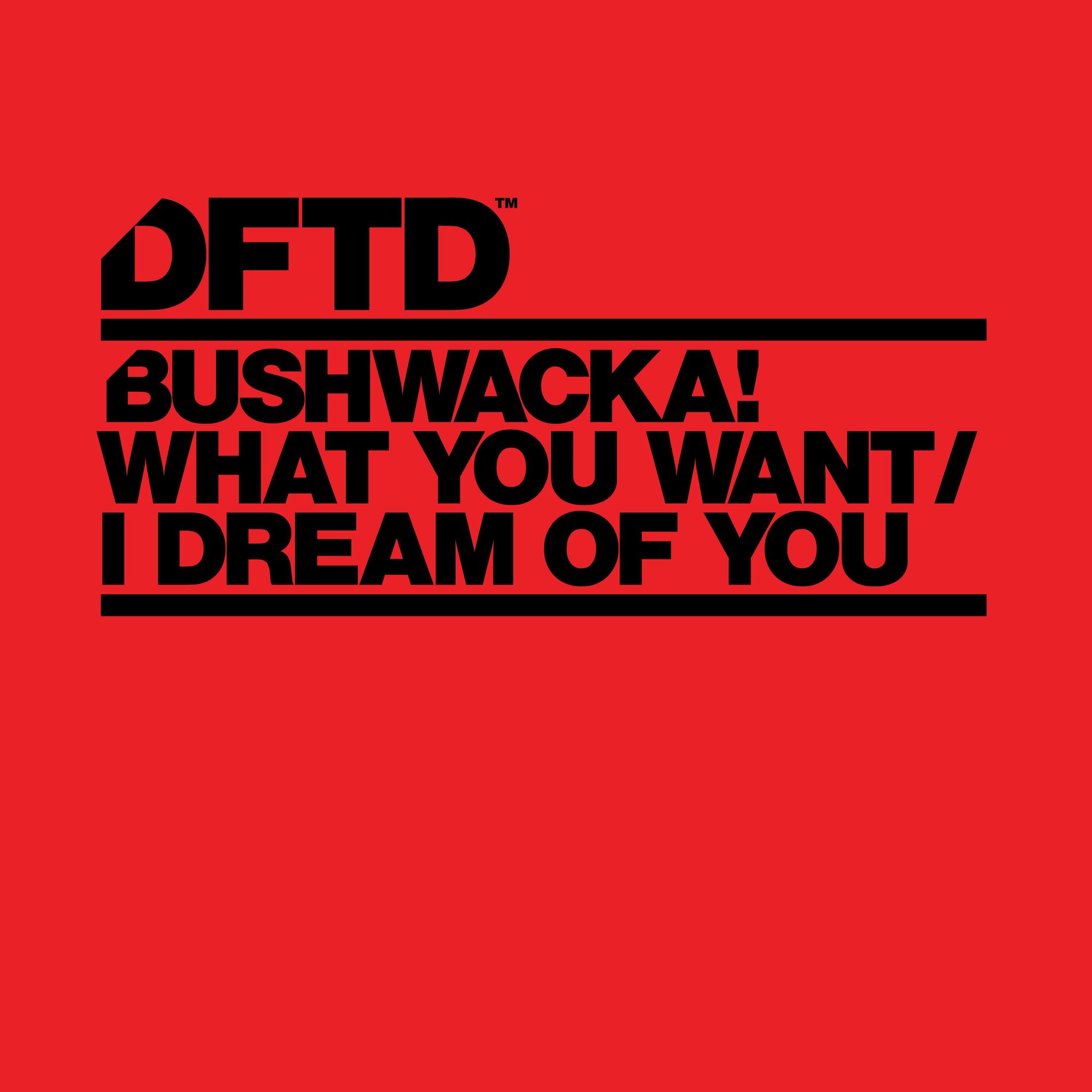 Album cover of I Dream Of You