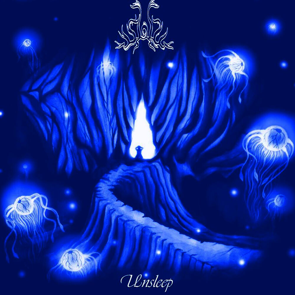 Picture of Unsleep