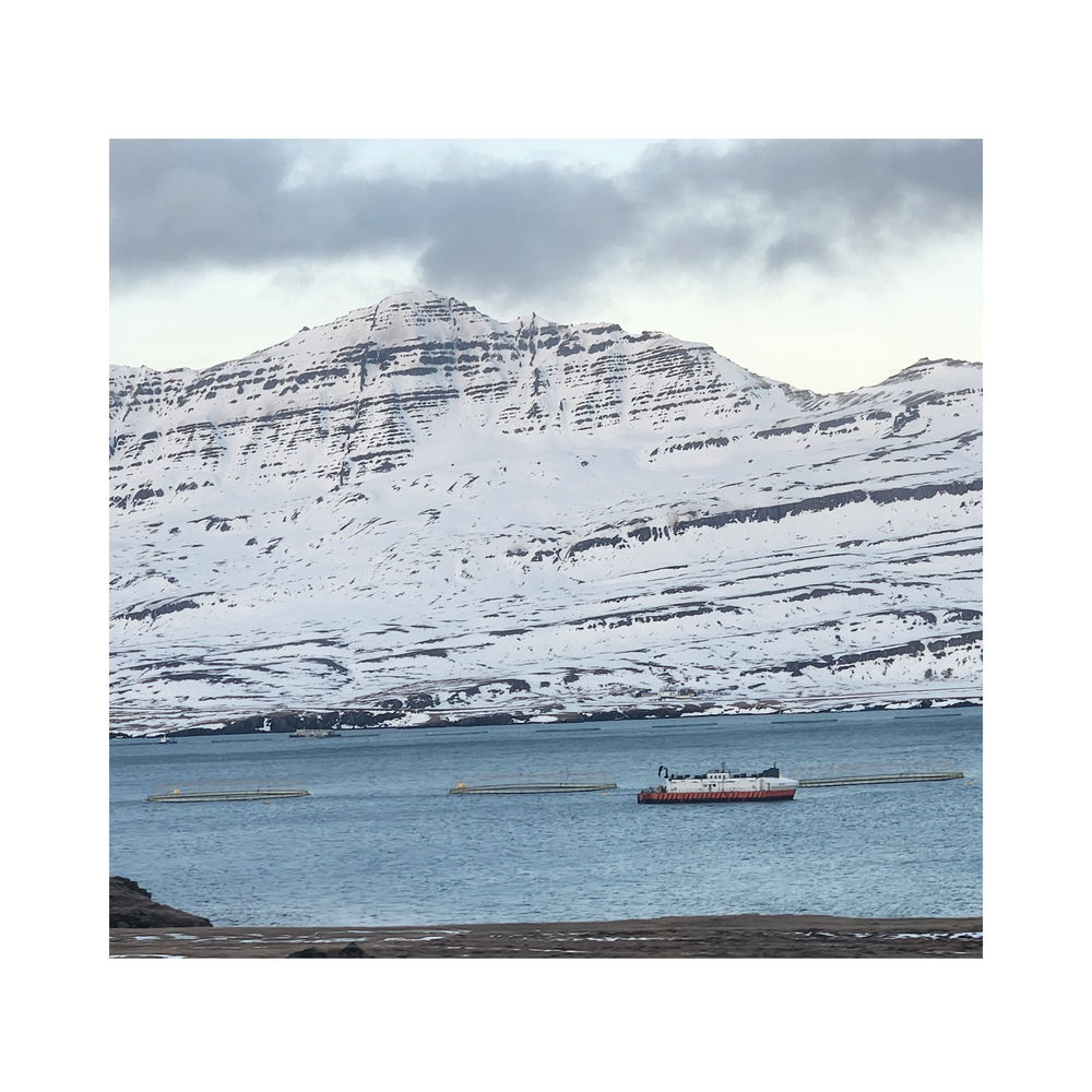 Past 6 / Glaciers