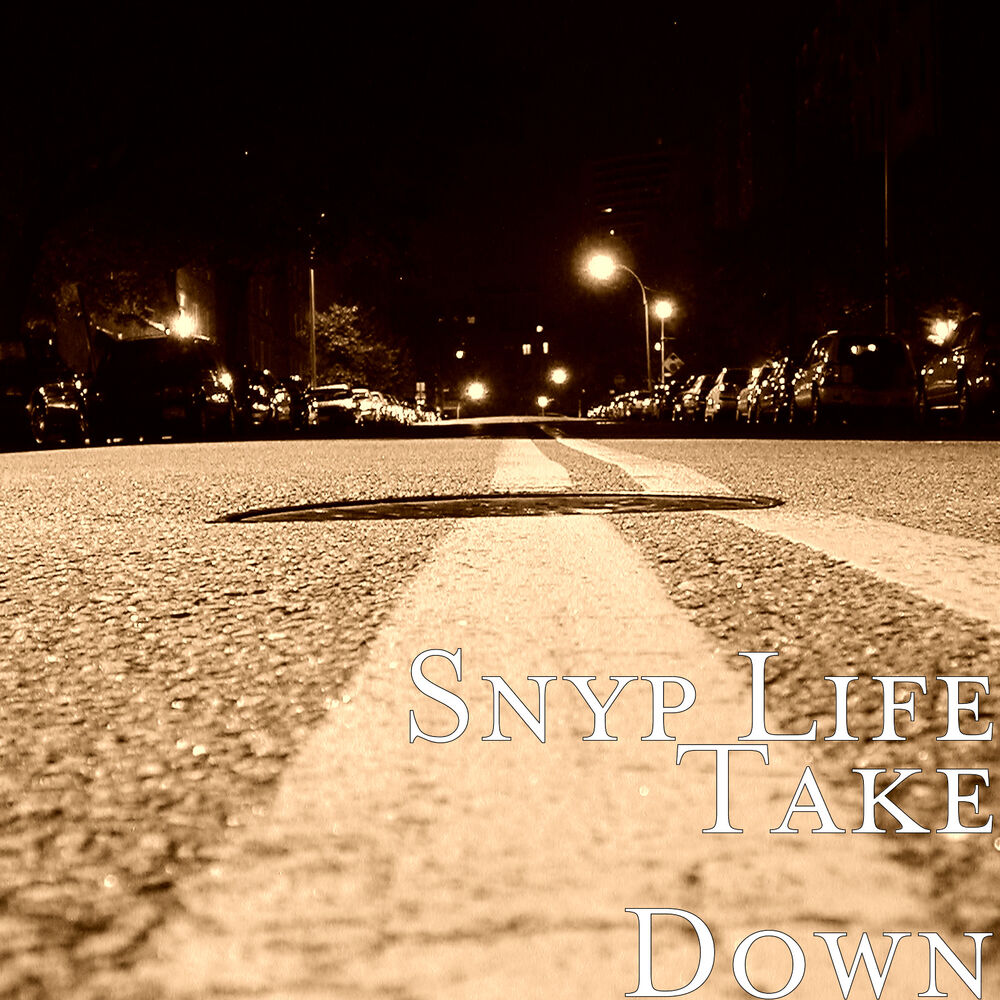 Picture of Take Down