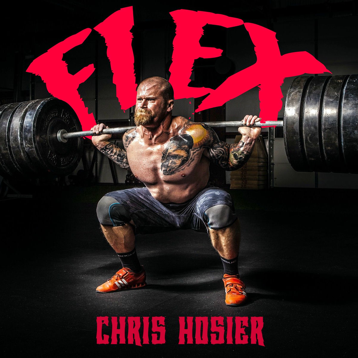 Album cover of Flex