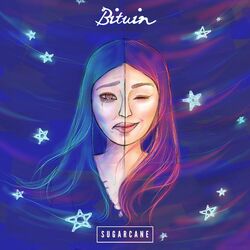 Cover of Bituin
