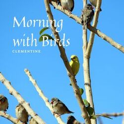 Cover of Morning with Birds