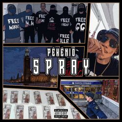 Cover of SPRAY