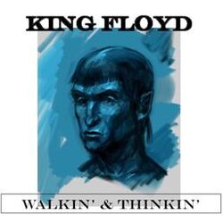 Cover of Walkin' and Thinkin'