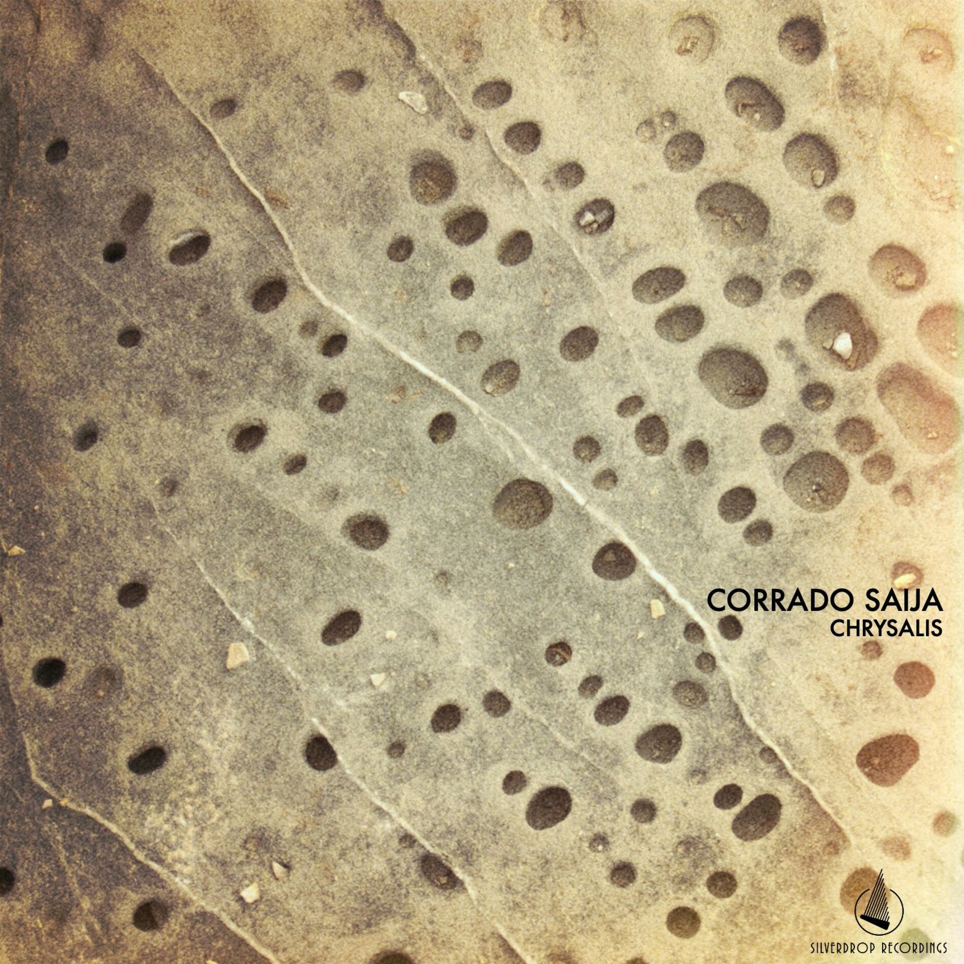 Album cover of Chrysalis