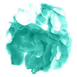 Cover of Surrender