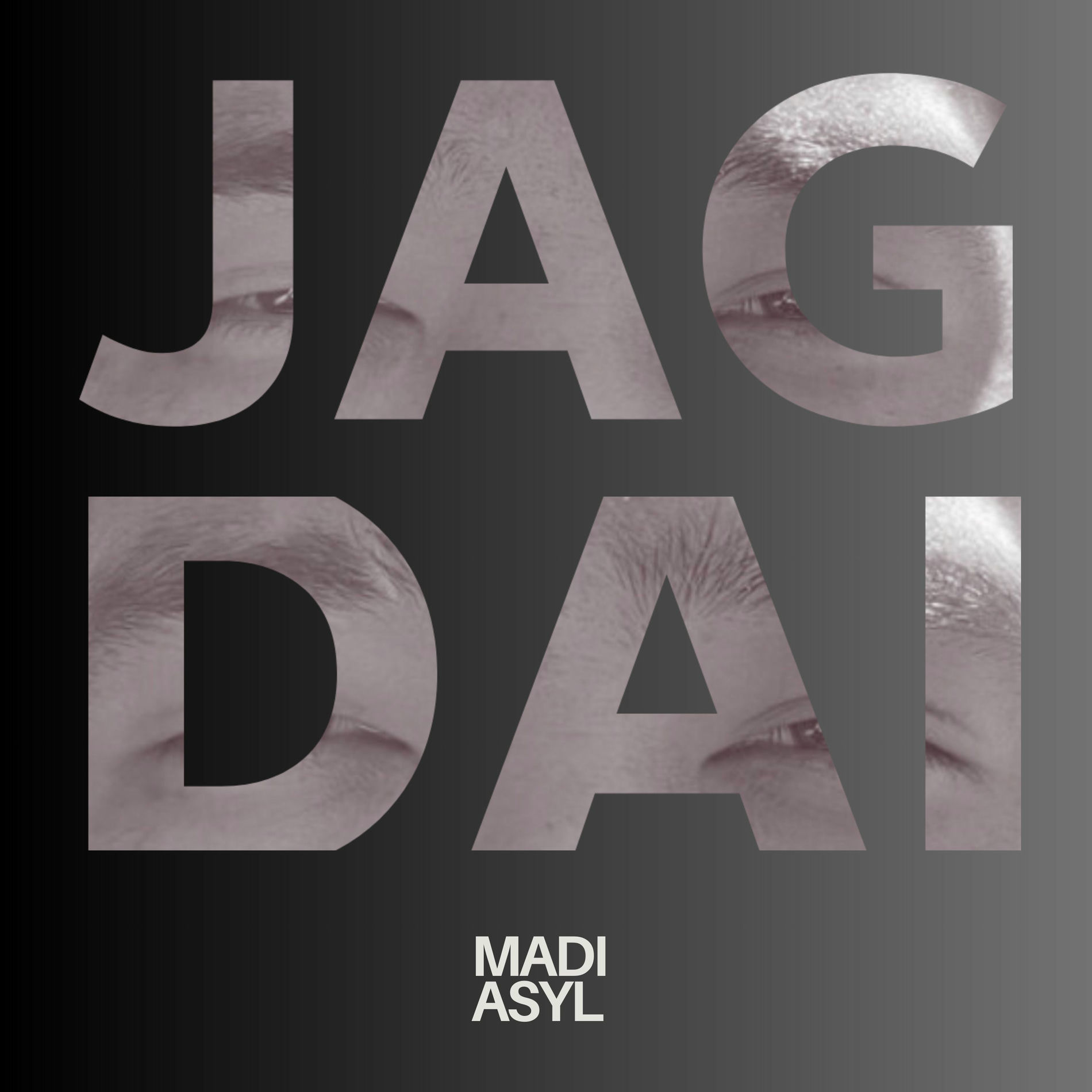 Album cover of JAGDAI