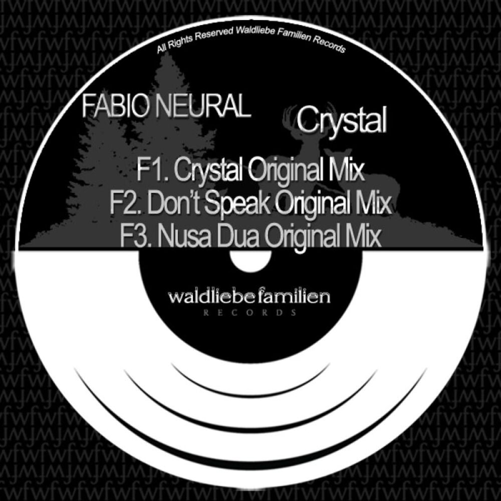 Picture of Fabio Neural