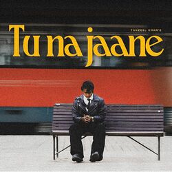 Cover of Tu Na Jaane