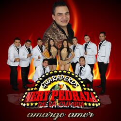 Cover of Amargo Amor