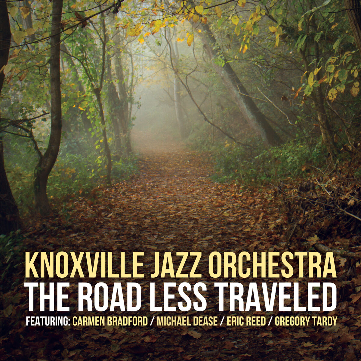 Album cover of The Road Less Traveled